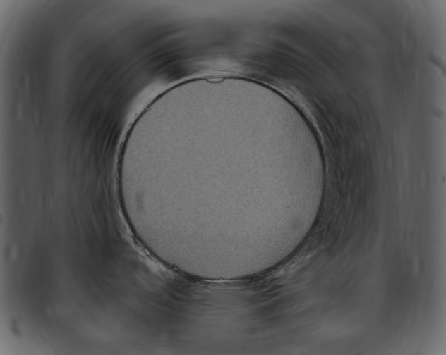 X0000097511488200803201604