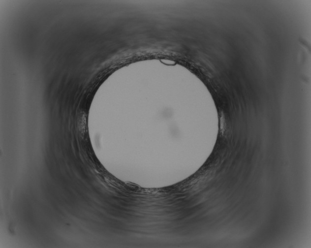 X0000097511492200803201603