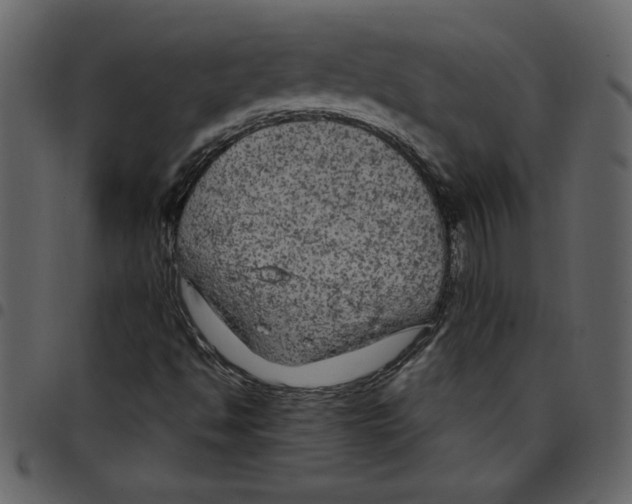 X0000097511494200803201603