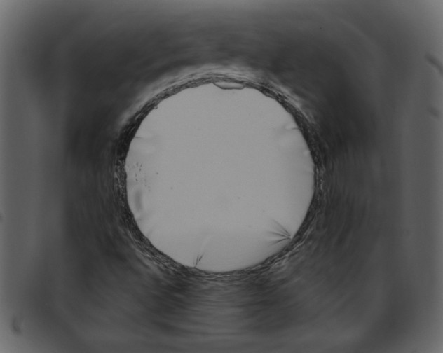 X0000097511496200803201603