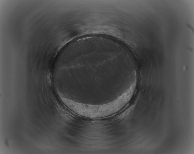 X0000097511497200803201603