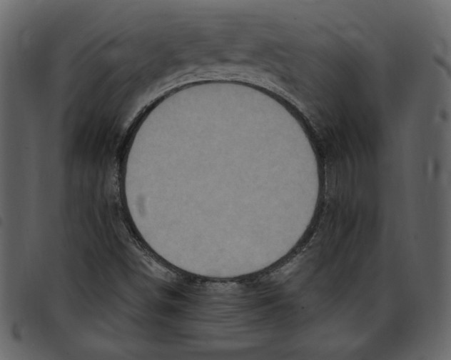X0000097511498200803201603