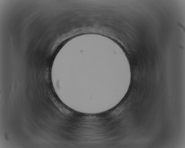 X0000097511499200803201603