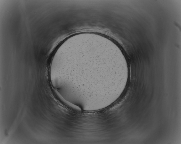 X0000097511501200803201603