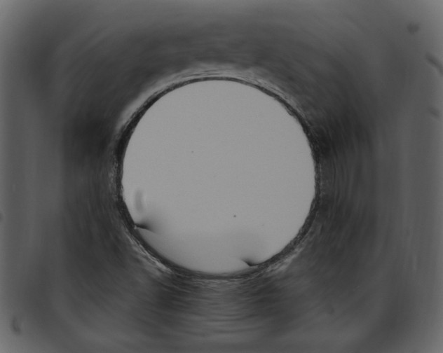 X0000097511502200803201603