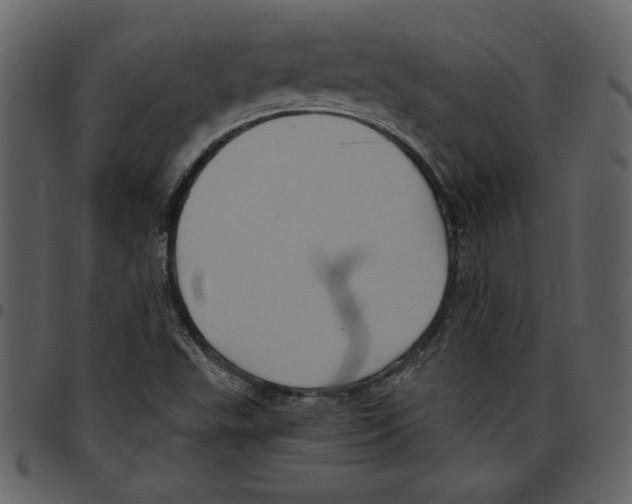 X0000097511503200803201603