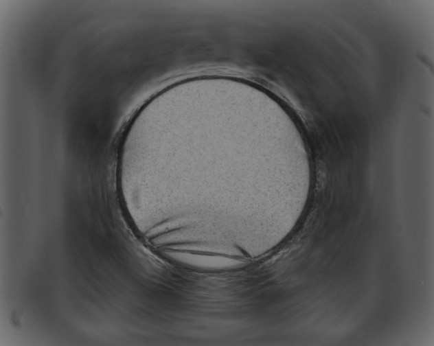 X0000097511504200803201603