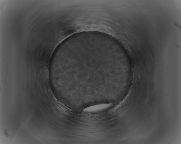 X0000097511505200803201603