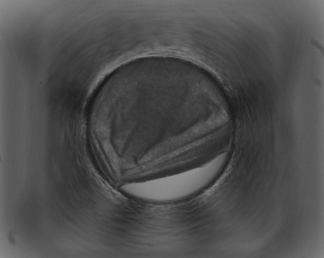 X0000097511506200803201603
