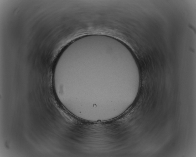 X0000097511507200803201603