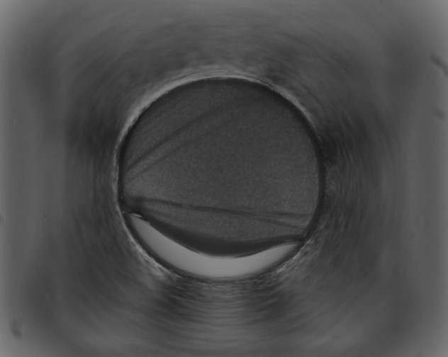 X0000097511508200803201603