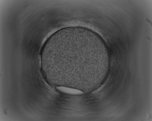 X0000097511509200803201603