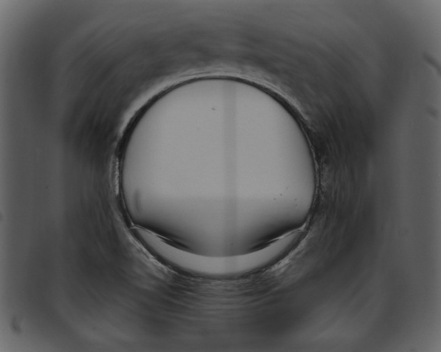 X0000097511510200803201603