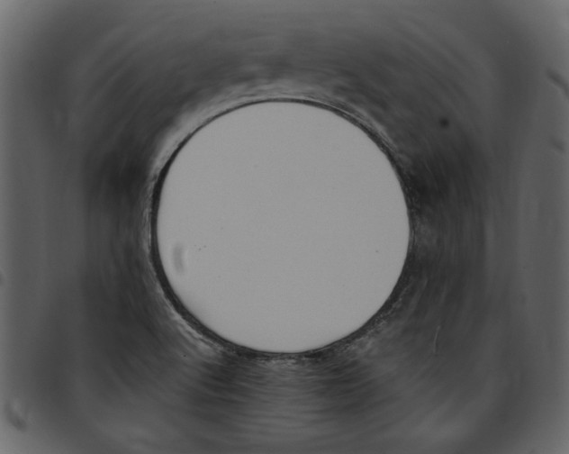X0000097511512200803201603