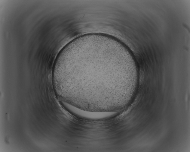 X0000097511513200803201603