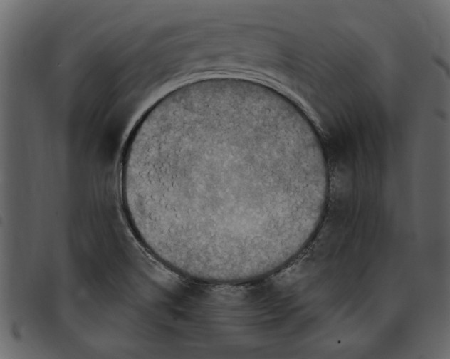 X0000097511514200803201604