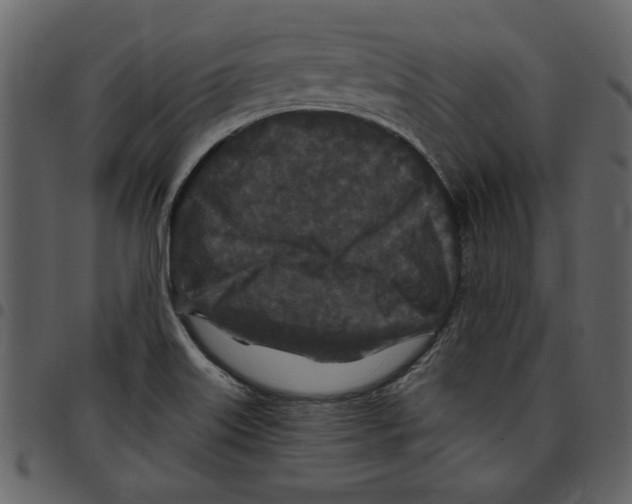 X0000097511515200803201604