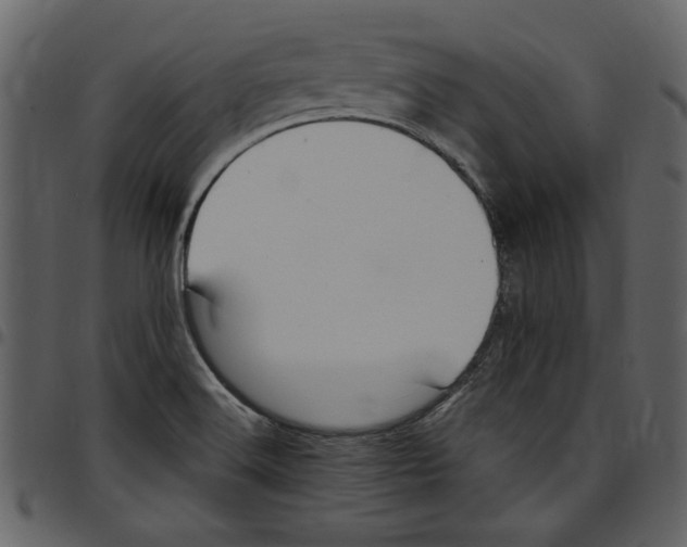 X0000097511516200803201604