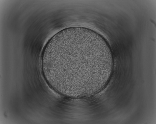 X0000097511517200803201604