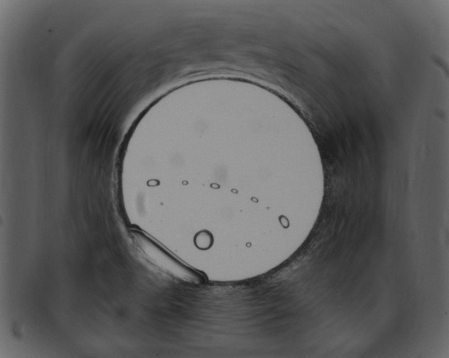 X0000097511518200803201604