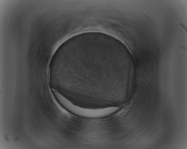 X0000097511519200803201604