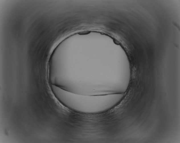 X0000097511520200803201604
