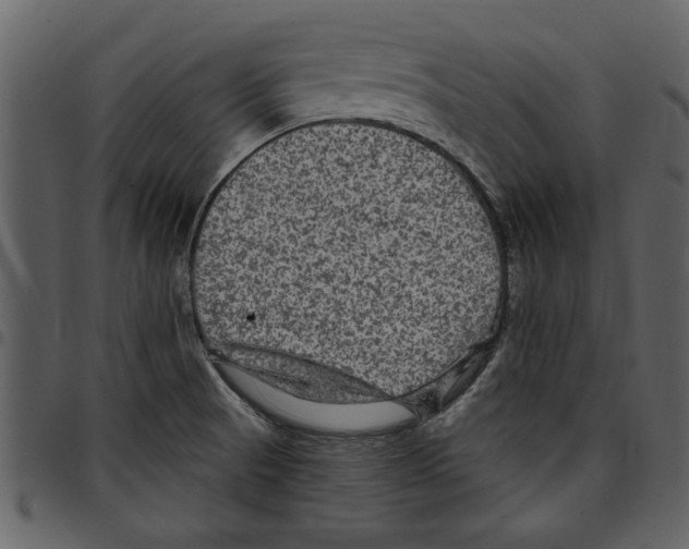 X0000097511521200803201604