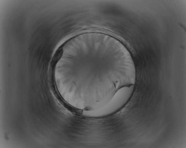 X0000097511522200803201604