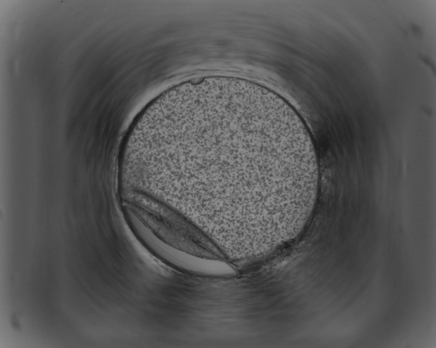 X0000097511523200803201604