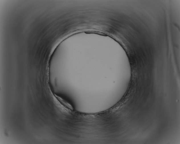 X0000097511524200803201604