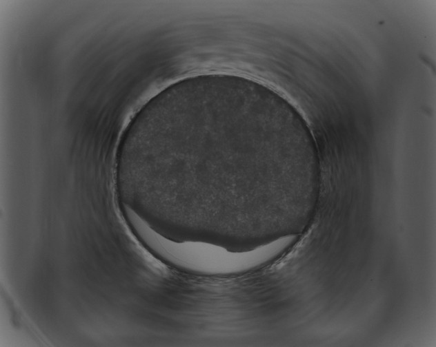 X0000097511525200803201604