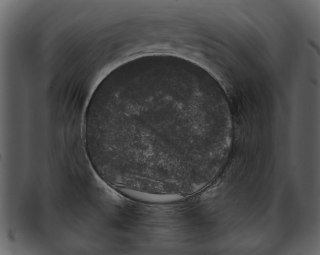 X0000097511527200803201604