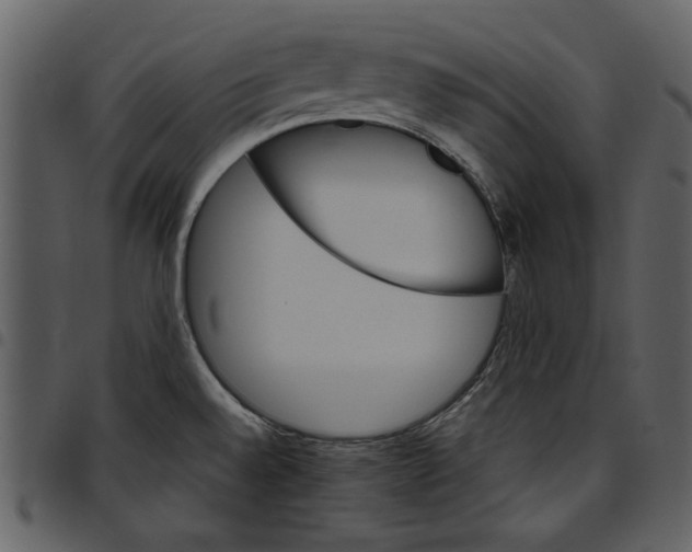 X0000097511528200803201604