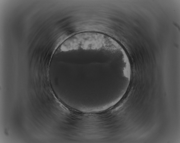X0000097511529200803201604