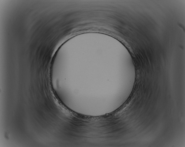 X0000097511530200803201604