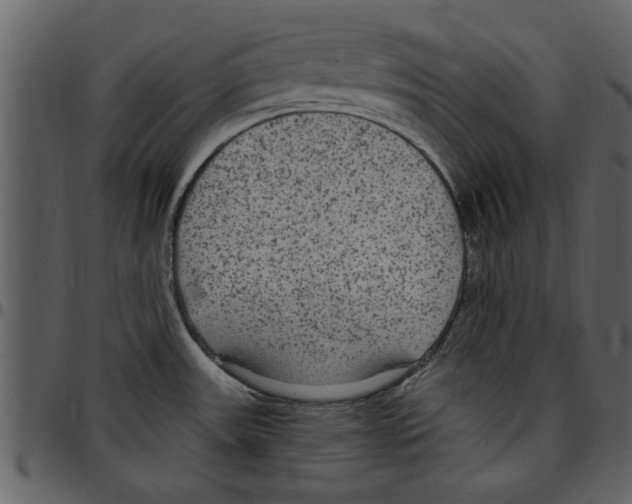 X0000097511531200803201604