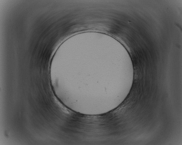 X0000097511532200803201604