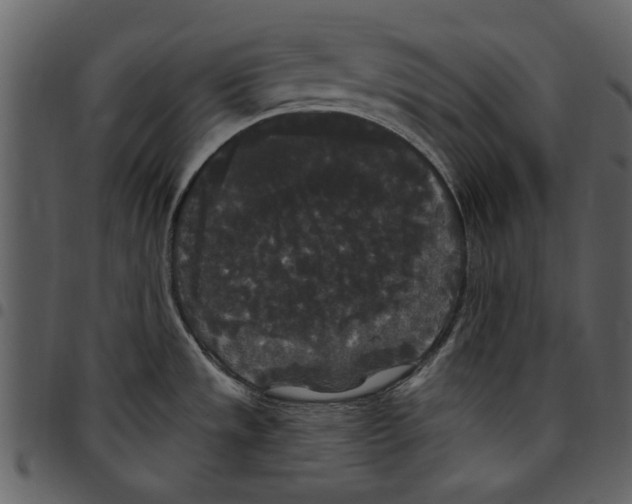 X0000097511533200803201604