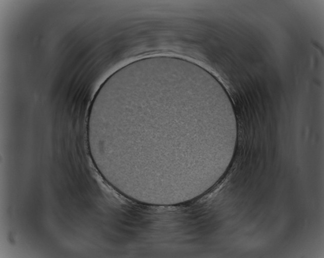 X0000097511534200803201604