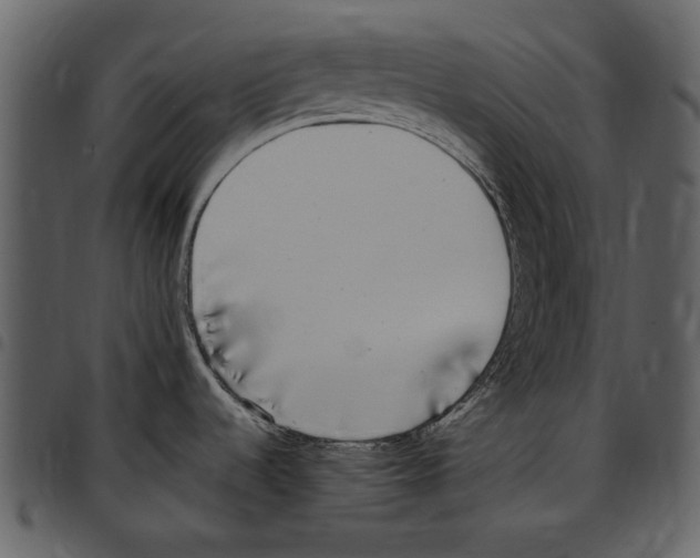 X0000097511536200803201604