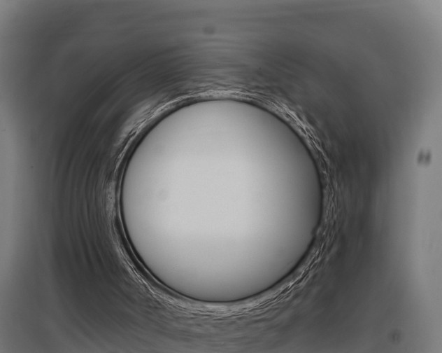 X0000097590002200802290759