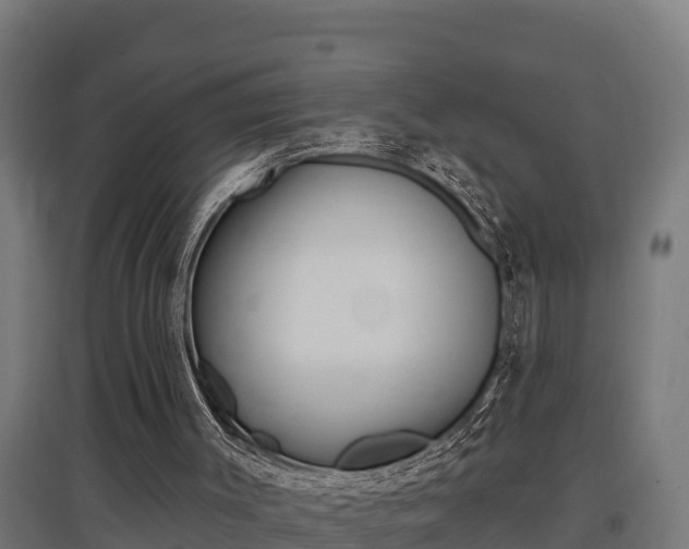 X0000097590003200802290759