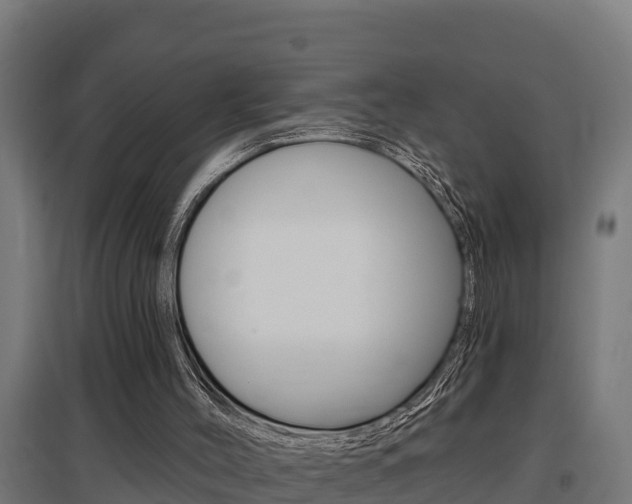 X0000097590004200802290759
