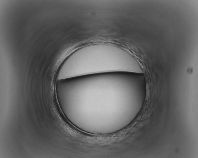 X0000097590005200802290759
