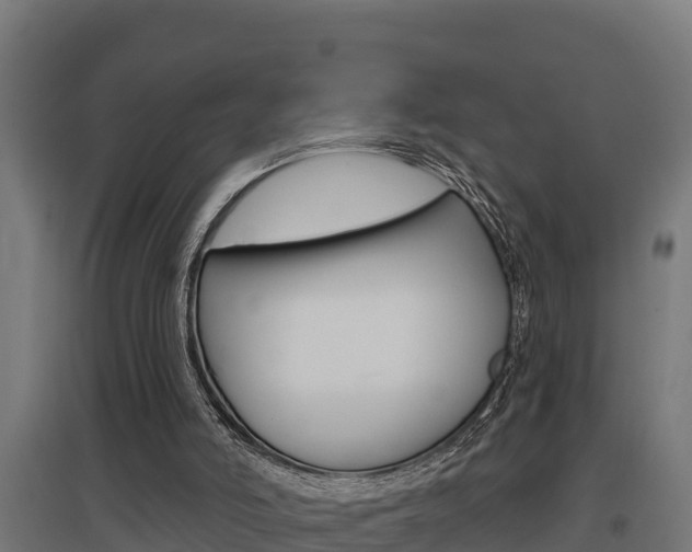 X0000097590006200802290759