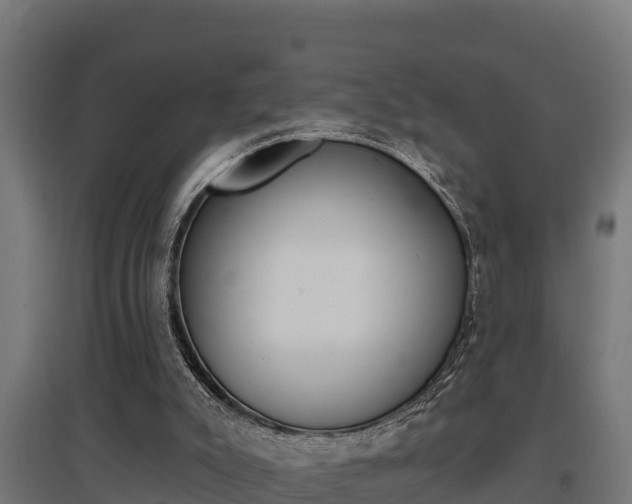 X0000097590007200802290759