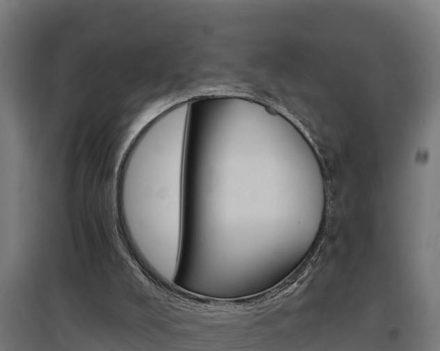 X0000097590008200802290759