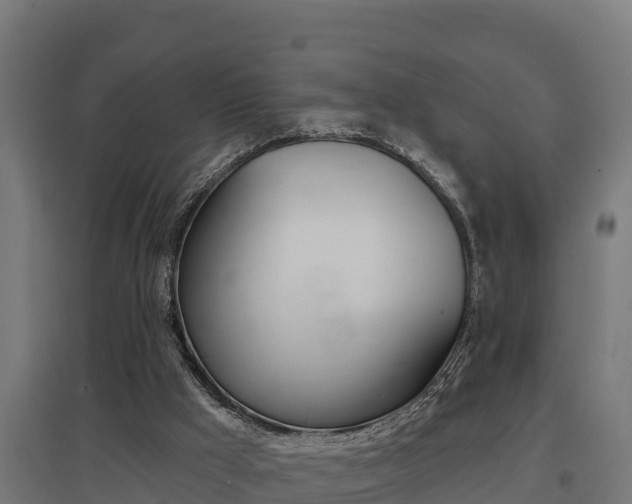 X0000097590009200802290759