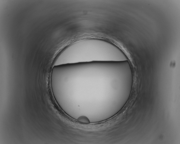 X0000097590010200802290759