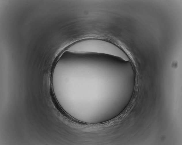 X0000097590011200802290759